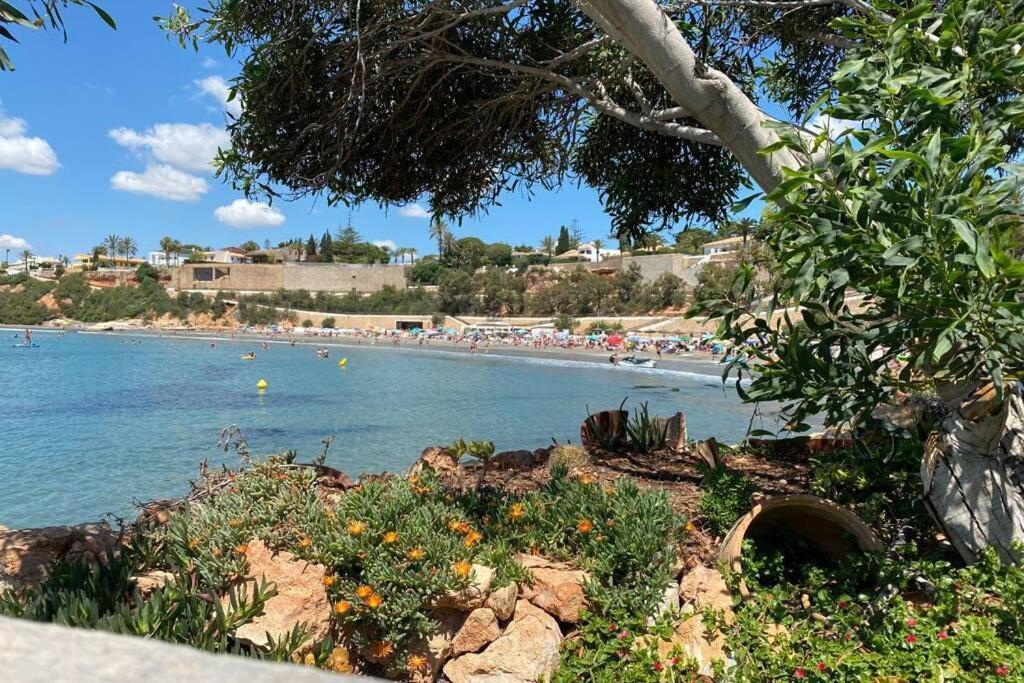 טורבייחה Luxury Penthouse Oasis Beach VIII Orihuela Costa Punta Prima מראה חיצוני תמונה